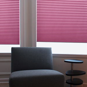 Traditionel Honeycombplisségardin - Ensfarvede