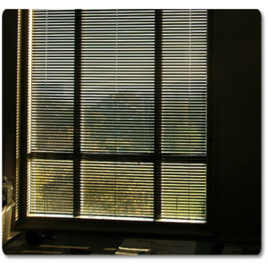 Ovenlys Persienner - Perforerede og Perlemorsfarvede Lameller